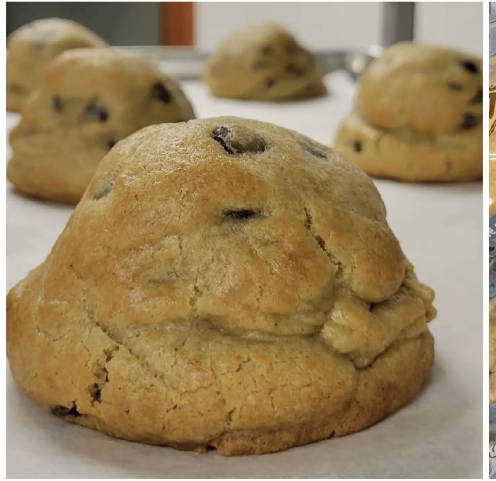FAT CHOCOLATE CHIP COOKIE (GLUTEN FREE)